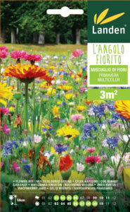 Mix di fiori primavera multicolor