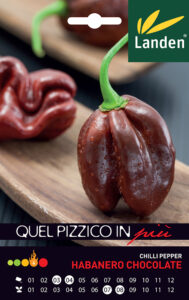Habanero Chocolat