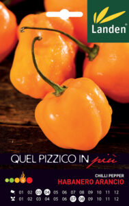 Habanero Orange