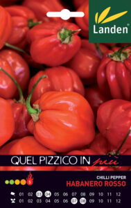 Habanero Rosso