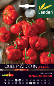 Peperoncino Jamaican Rosso
