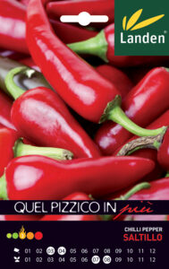 Peperoncino Saltillo