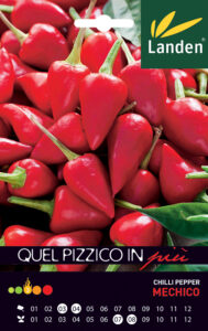 Peperoncino Mechico