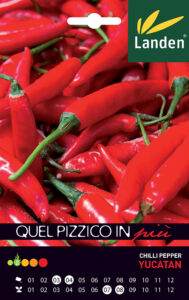 Peperoncino Yucatan