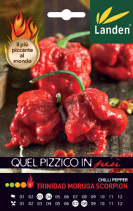 Peperoncino Trinidad Moruga Scorpion