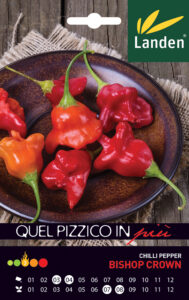 Peperoncino Bishop Crown