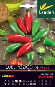 Peperoncino Jalapeno