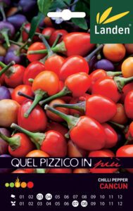 Peperoncino Cancun