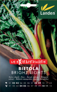 Bietola Bright Light
