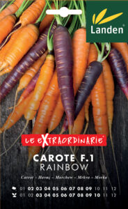Carote Rainbow mix
