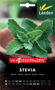 Stevia