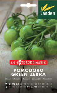 Pomodoro Green Zebra